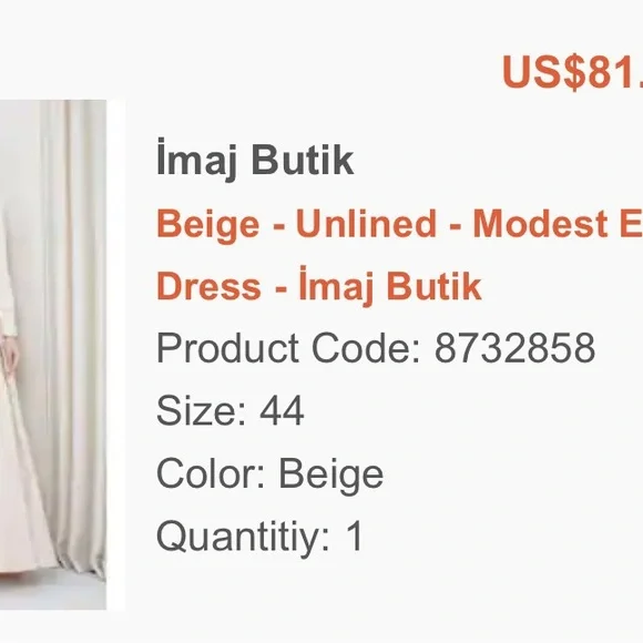 Modest women party dress in Beige with full sleeves - Picture 5 of 5